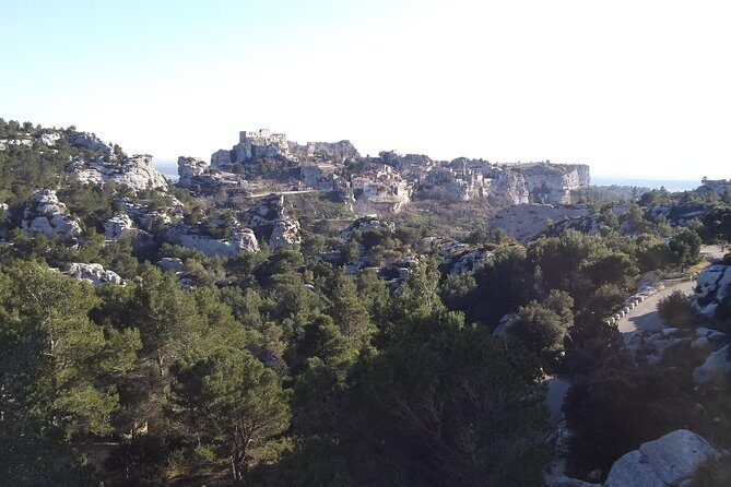 Half-Day Van Gogh Tour of Provence from Avignon - Practical Details and What They Mean for You