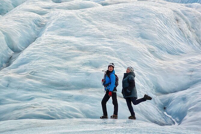 Half-Day Vatnajokull Glacier Small Group Tour from Skaftafell - Who Would Love This Tour?