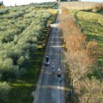 Half Day Vespa Countryside Tour and Tastings in Istria - What Makes This Tour Stand Out?