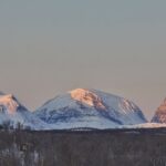 Half day Wildlife and Nature Photography - The Value of the Experience