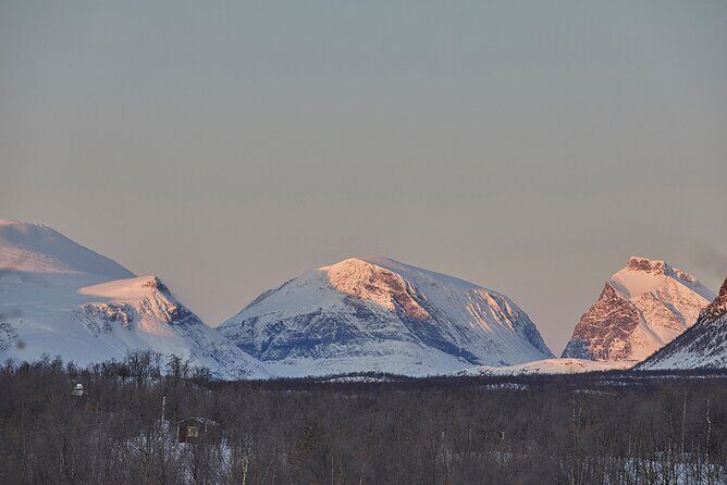 Half day Wildlife and Nature Photography - The Value of the Experience