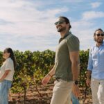Half Day Wine Tour Around Evora - What You Can Expect When You Sign Up