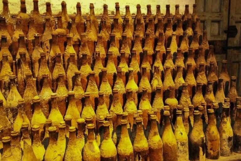 Half-Day Wine Tour in Andalusia in small group - Deep Dive into the Experience