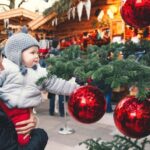 Hallstatt Christmas Markets Small-Group Day Trip from Vienna - Exploring the Lake District and Filming Locations