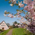 Hamburg: Altes Land Private Nature and Agriculture Tour - Why This Tour Offers Great Value