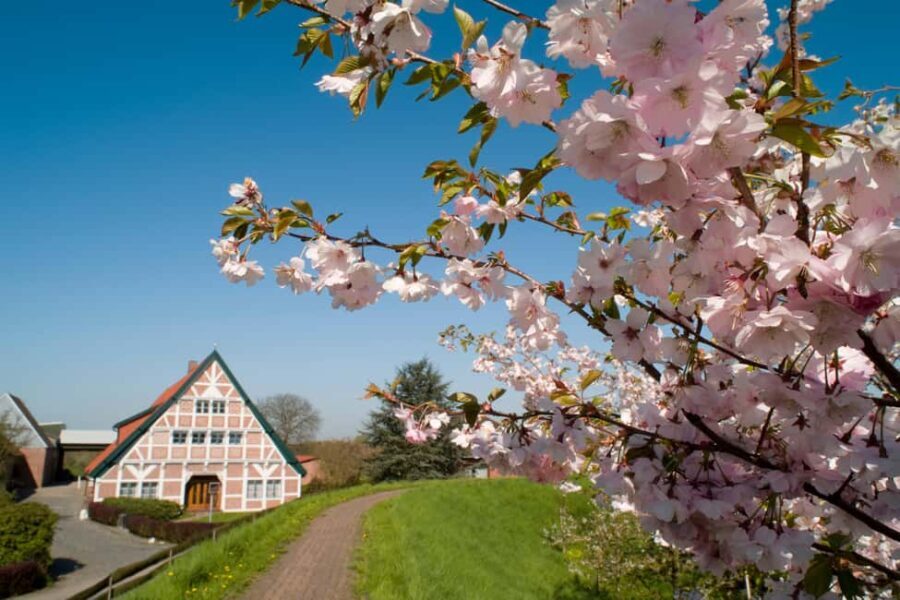 Hamburg: Altes Land Private Nature and Agriculture Tour - Why This Tour Offers Great Value