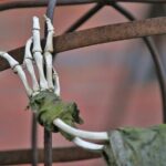 Hamburg Dungeon Admission Ticket - Frequently Asked Questions (FAQ)