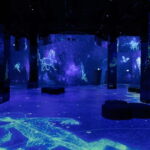 Hamburg: Port of Lights Cosmos Ticket - Value and Cost Analysis