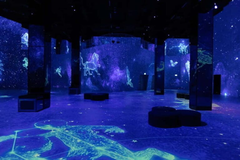 Hamburg: Port of Lights Cosmos Ticket - Value and Cost Analysis