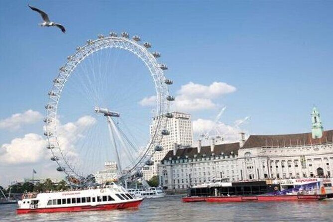 Harry Potter Walking Tour, River Cruise and London Eye Tickets - Who Is This Tour Best For?