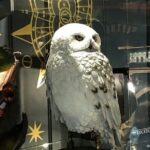 Harry Potter's London Feat. Harry Potter Movie Locations - Who Will Love This Tour?