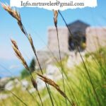 Heart of Old Montenegro private tour - What Makes This Tour Stand Out