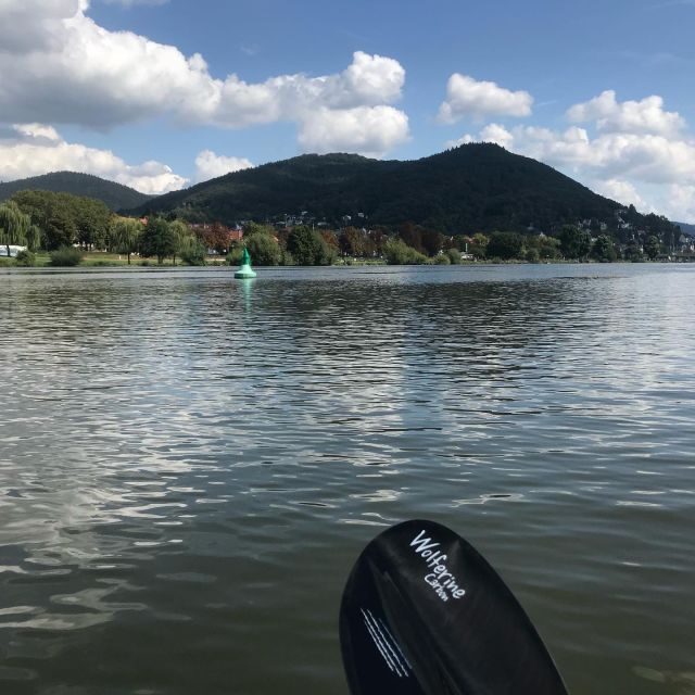 Heidelberg: 2-Hour Kayak Tour - What You Can Expect During the Tour