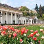 Heidelberg and Baden-Baden Tour from Frankfurt - Authentic Experiences and Review Insights