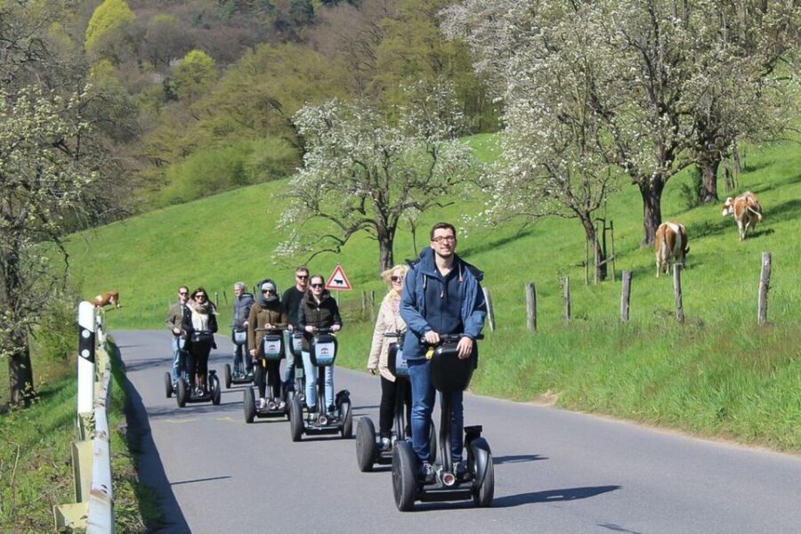 Heidelberg Highlights Segway Tour with Castle - Who Will Love This Tour?