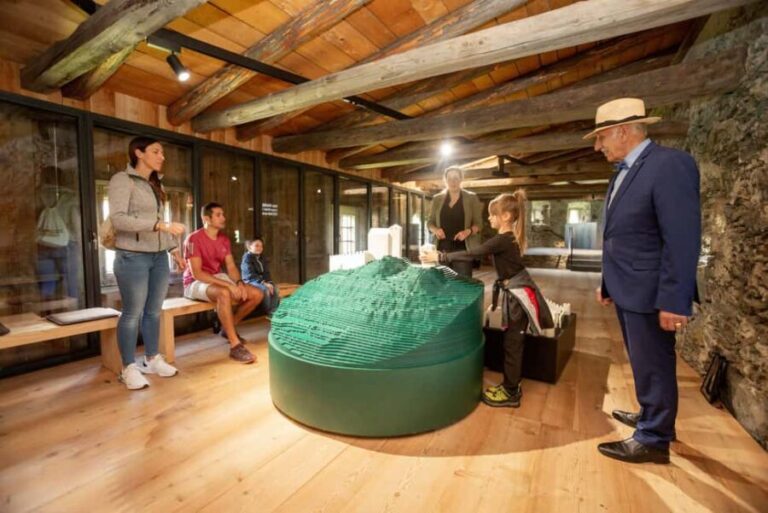 Heinfels Castle: Guided tour of the castle - The Experience Breakdown