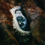 Heraklion Area: CRETAquarium Admission Ticket - Transportation and Visiting Tips