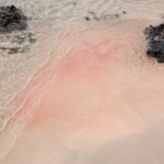 Heraklion: Elafonisi Beach: Discover the Pink Sand Paradise - Is This Tour Worth It?