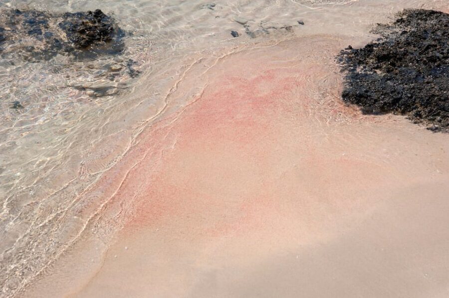 Heraklion: Elafonisi Beach: Discover the Pink Sand Paradise - Is This Tour Worth It?