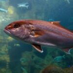 Heraklion: Family Fun Day with Dinosauria and CRETAquarium - Why This Tour Works