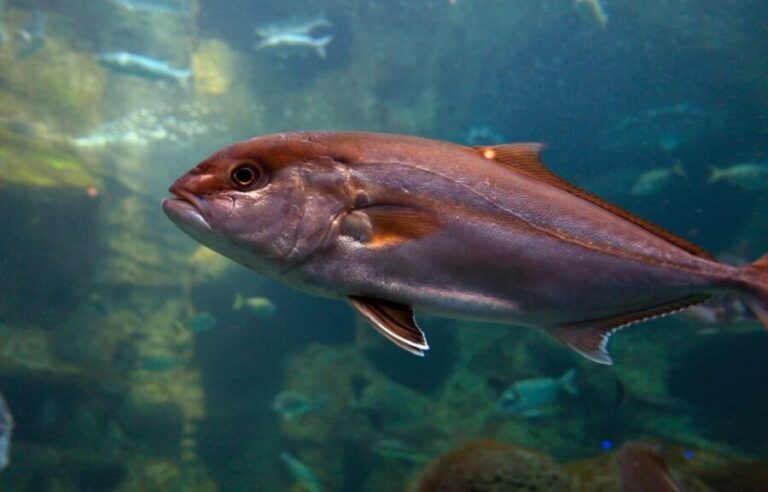 Heraklion: Family Fun Day with Dinosauria and CRETAquarium - Why This Tour Works