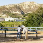 Heraklion: Finikia Horse Riding Tour with Lunch or Dinner - Why This Tour Works for You