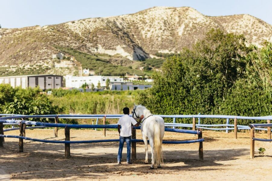 Heraklion: Finikia Horse Riding Tour with Lunch or Dinner - Why This Tour Works for You