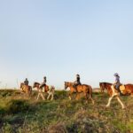 Heraklion: Horse Ride in the Cretan Mountains - Pricing and Value