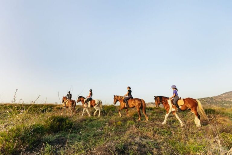 Heraklion: Horse Ride in the Cretan Mountains - Pricing and Value