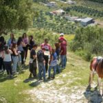 Heraklion: Horseriding Day Tour with Lunch and Transfer - Continuing the Adventure: Landscape and Local Flavor