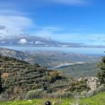 Heraklion: Private Zeus Cave, Winery, Lunch, Knossos Palace - Practical Details & Overall Value