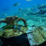 Heraklion: Scuba Diving Experience for Beginners - Authentic Reviews & Insights