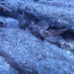 Heraklion: Scuba Diving Experience for Beginners - The Experience in Detail