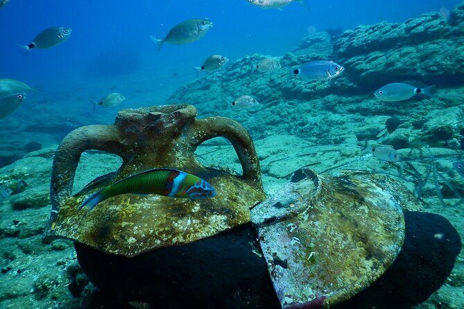 Heraklion: Scuba Diving Experience for Beginners - Authentic Reviews & Insights