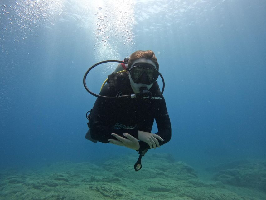 Heraklion: Try Scuba Diving For Beginners (1 dive) - Who Will Love This Experience?