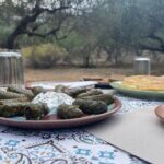 Heraklion:Olive & Dragon Fruit Farm Tour & Cretan Farmers Brunch - Practical Details and What They Mean for You