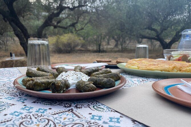 Heraklion:Olive & Dragon Fruit Farm Tour & Cretan Farmers Brunch - Practical Details and What They Mean for You