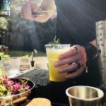 HERBS LAB - from plant to glass - FAQs