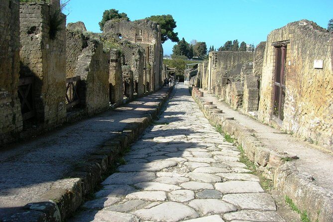 Herculaneum Guided Group Tour from Naples - FAQ
