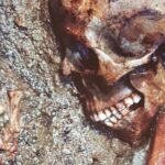 Herculaneum Private Two-hour Tour With A Real Archaeologist - A Closer Look at the Itinerary