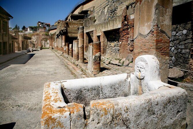Herculaneum ruins and Naples Center Full Day Private Tour From Rome - What the Reviews Tell Us