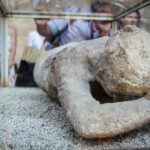 Herculaneum, Vesuvius and Pompeii Full Day Tour from Naples - Who Should Consider This Tour?