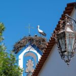 Herdade da Comporta Private Selection Winetasting - An In-Depth Look at the Experience