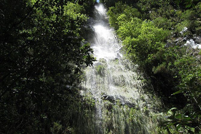 Hidden Corners: Levada Walk from Funchal - FAQs