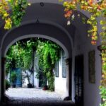 Hidden Gems in Vienna Inner City a Private Walking Tour - Practical Details and What to Expect