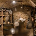 Hidden Wine Cellars Vienna - on the tracks of the Viennese wines - Final Thoughts