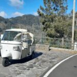 High West Van Guided Tour Madeira (from Funchal) - An In-Depth Look at the Tour Itself