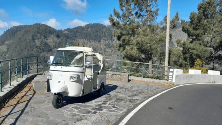 High West Van Guided Tour Madeira (from Funchal) - An In-Depth Look at the Tour Itself