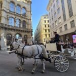 Highlights of Vienna in a Historical & Cultural Walking Tour - Why This Tour Works Well