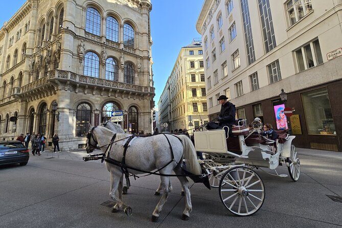 Highlights of Vienna in a Historical & Cultural Walking Tour - Why This Tour Works Well